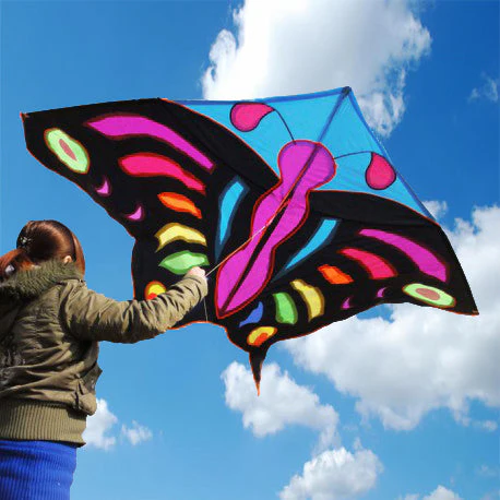 3m Giant Butterfly Kite